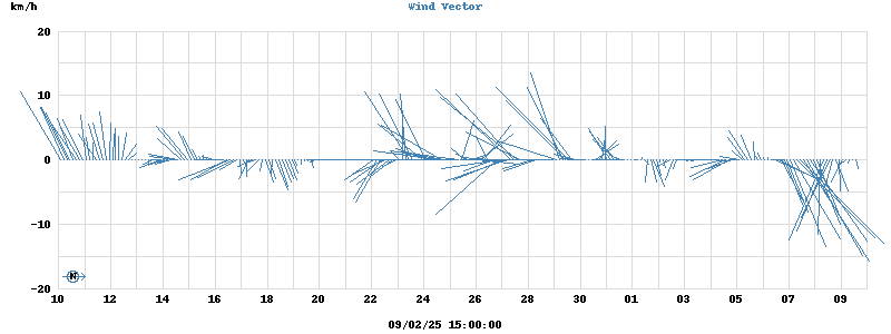 Wind Vector