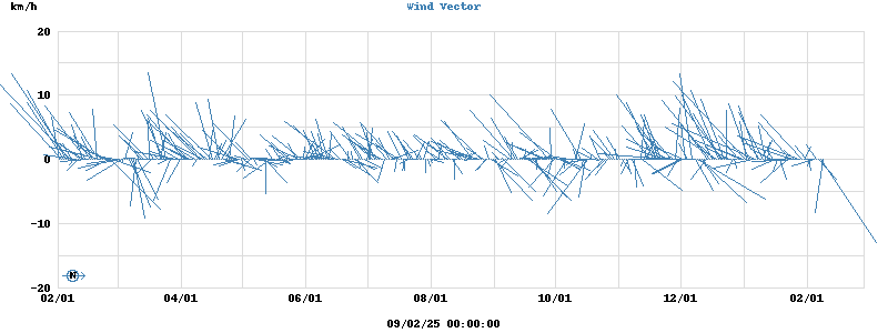 Wind Vector